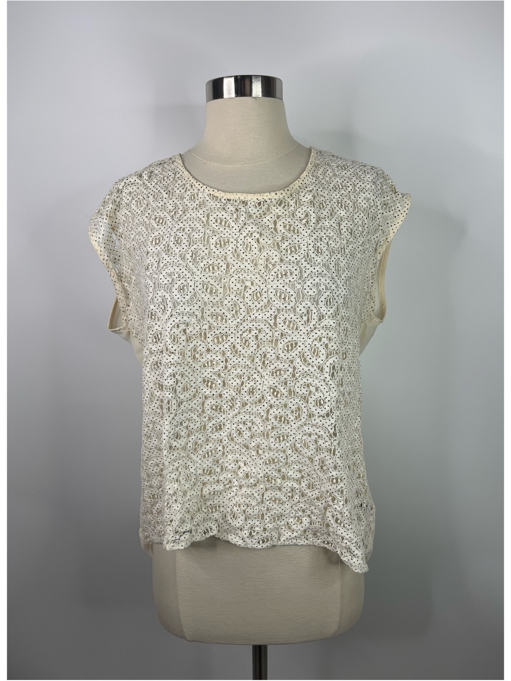 The Limited Lace Cut Outs Hi-Low Cap Sleeves Sheer Top